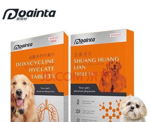 如何有效治疗感冒的狗狗？（药物治疗和其他措施）(图3)