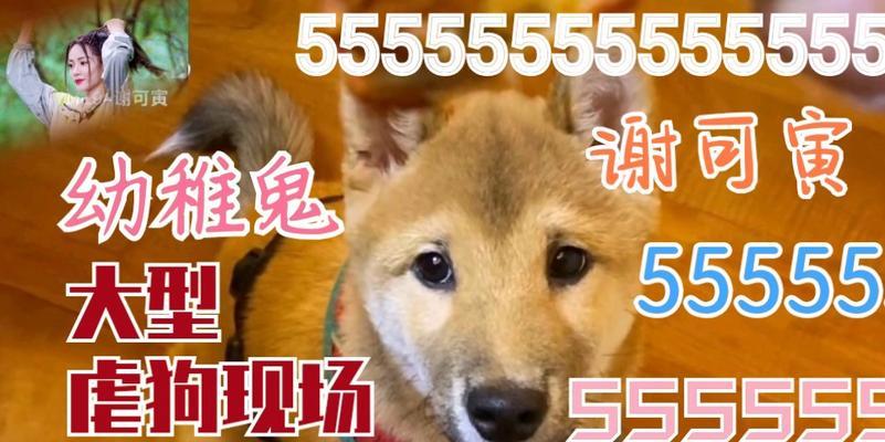 探寻狗呜呜呜的含义（狗呜呜呜是怎样的一种表达方式）(图1)