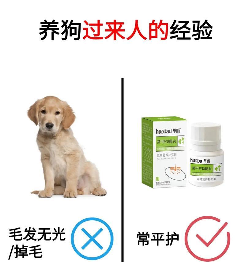 狗皮肤病的治疗方法及适用药物(细说如何选择药物治疗狗狗的皮肤病)(图3) 狗皮肤病的治疗方法及适用药物(细说如何选择药物治疗狗狗的皮肤病)(图3)