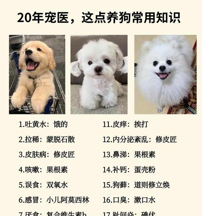 狗皮肤病的治疗方法及适用药物(细说如何选择药物治疗狗狗的皮肤病)(图2) 狗皮肤病的治疗方法及适用药物(细说如何选择药物治疗狗狗的皮肤病)(图2)