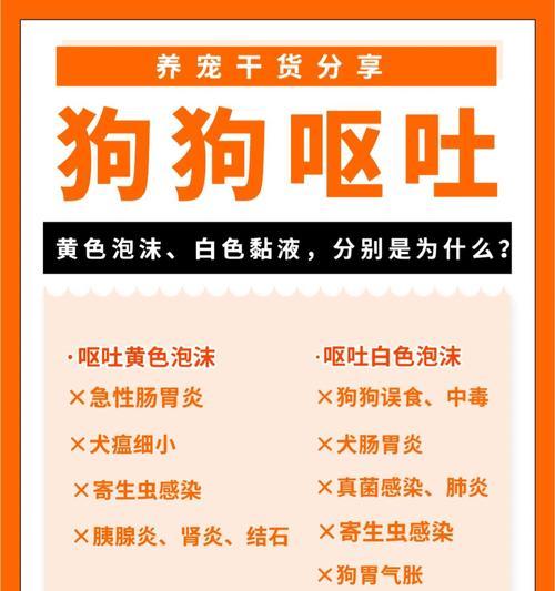 狗狗吃多了呕吐怎么办？一种药物解决问题！（救急！治疗狗狗呕吐的利器即将揭晓！）(图2)