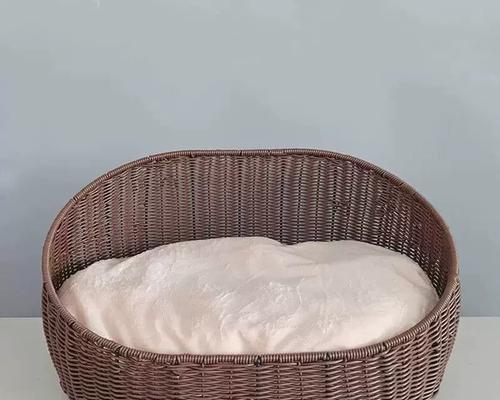 以泰迪配窝，照顾你的宠物伙伴（关注泰迪配窝的注意事项和关键要点）(图3)