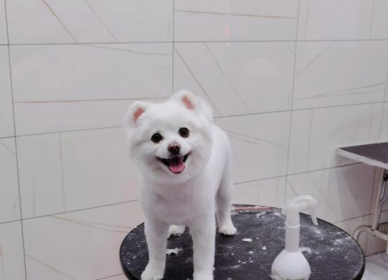 嘴唇下面为什么会长毛？（探究嘴唇下面长毛的原因和解决办法）(图2)