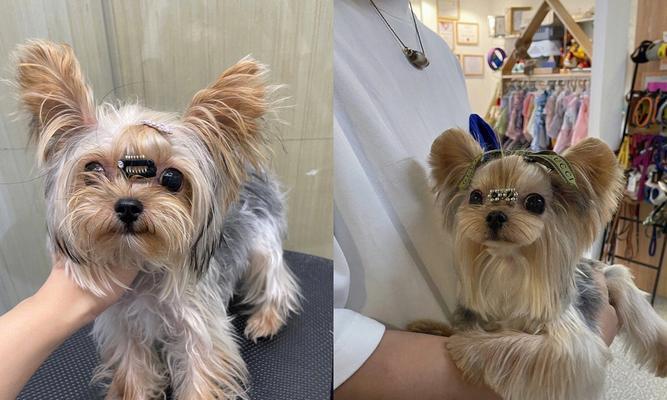 嘴唇下面为什么会长毛？（探究嘴唇下面长毛的原因和解决办法）(图3)