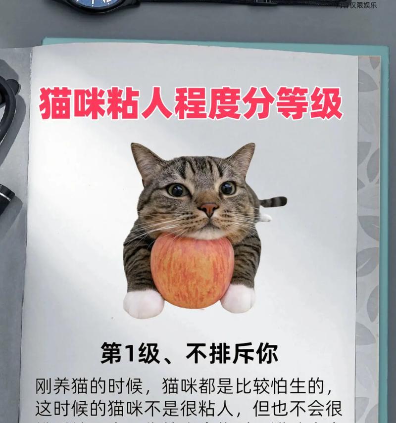 了解猫的品种多样性（探索猫的不同品种及其特点）(图2)