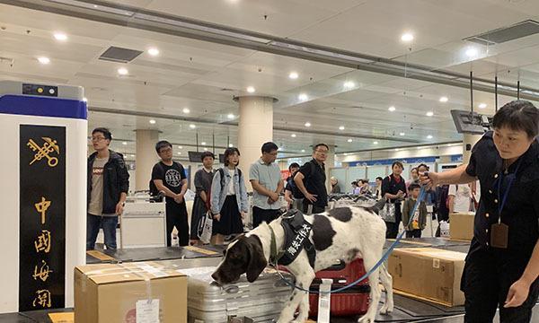 如何合法去机场接狗狗(详解接狗狗需要的手续及步骤)(图3) 如何合法去机场接狗狗(详解接狗狗需要的手续及步骤)(图3)