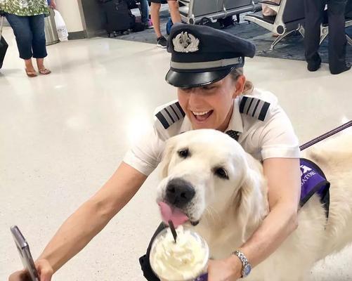 如何合法去机场接狗狗(详解接狗狗需要的手续及步骤)(图2) 如何合法去机场接狗狗(详解接狗狗需要的手续及步骤)(图2)