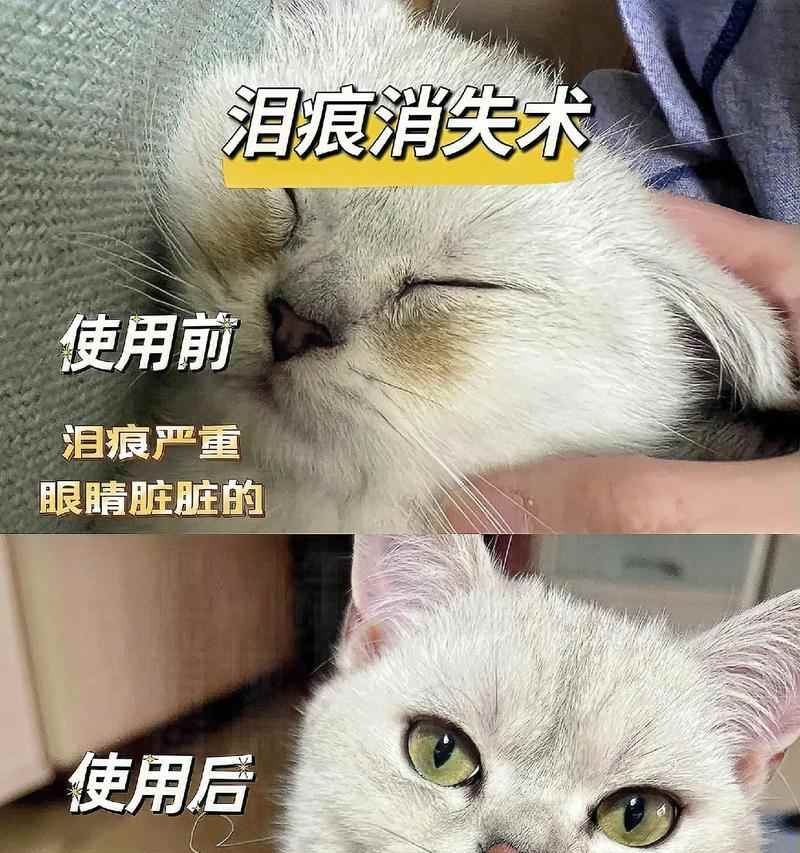 揭秘眼屎的成因及其意义（为什么我们的眼睛会生出眼屎？眼屎到底有什么用？）(图1)