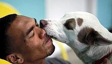 为什么狗狗喜欢舔主人的嘴？（探寻狗狗舔嘴行为的原因与动机）(图1)