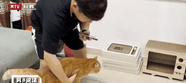 小猫去医院检查身体健康的重要性（了解小猫健康状况，预防疾病，提前发现问题）(图2)