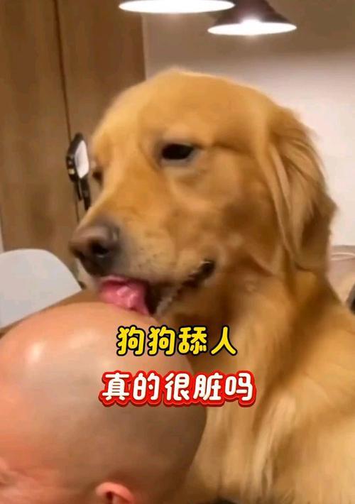 为什么狗狗喜欢舔主人的嘴？（探寻狗狗舔嘴行为的原因与动机）(图3)