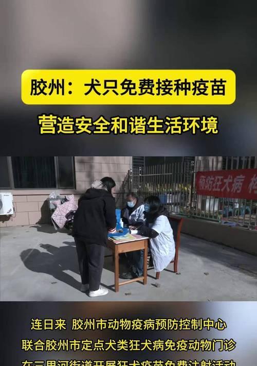 狗狗打疫苗需要注意的反应及预防措施(确保狗狗安全健康的免疫注射关键)(图3) 狗狗打疫苗需要注意的反应及预防措施(确保狗狗安全健康的免疫注射关键)(图3)
