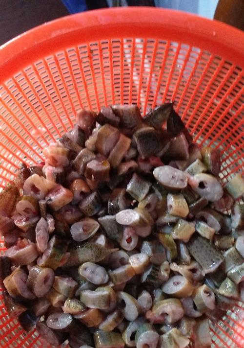 银龙鱼的饲养之道（科学饲养银龙鱼，健康生长无忧） - 悠悠酷狗网