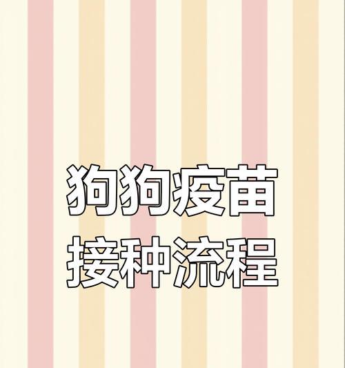 狗狗打疫苗需要注意的反应及预防措施(确保狗狗安全健康的免疫注射关键)(图2) 狗狗打疫苗需要注意的反应及预防措施(确保狗狗安全健康的免疫注射关键)(图2)