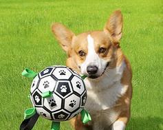 狗狗玩具的好处（让宠物更快乐、健康和聪明） - 悠悠酷狗网