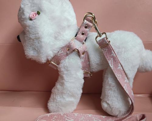 金毛牵引绳的使用方法与注意事项（让你的金毛牵引更轻松愉快，绳索选择要合适）(图1)