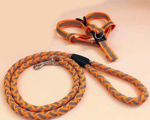 金毛牵引绳的使用方法与注意事项（让你的金毛牵引更轻松愉快，绳索选择要合适）(图3)