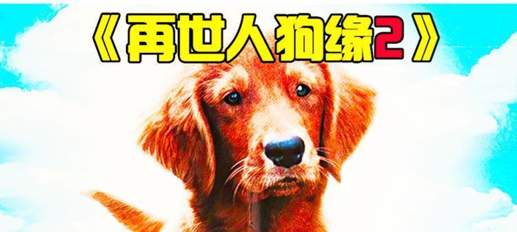 以狗出生的人的好处(狗年出生人的特点及影响)(图2) 以狗出生的人的好处(狗年出生人的特点及影响)(图2)