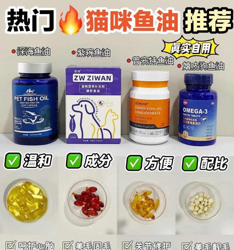 解决猫咪爆毛问题的科学护理与饮食建议(图1)