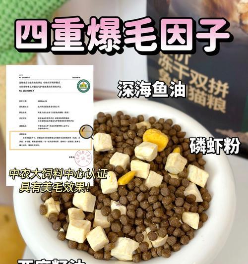 解决猫咪爆毛问题的科学护理与饮食建议(图2)