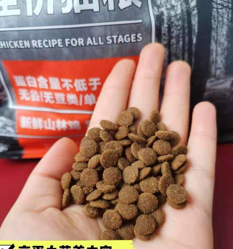 解决猫咪爆毛问题的科学护理与饮食建议(图3)