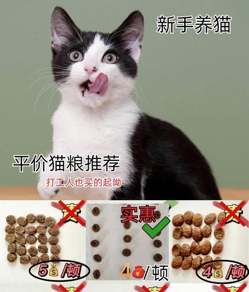 进口猫粮频繁断货原因及应对策略分析(图3) 进口猫粮频繁断货原因及应对策略分析(图3)