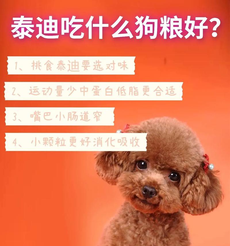 泰迪幼犬饮食指南：健康成长的关键要点解析(图3)