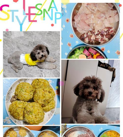 泰迪幼犬饮食指南：健康成长的关键要点解析(图2)