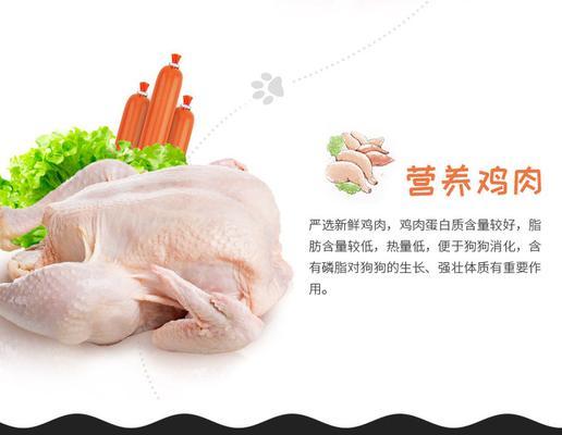 泰迪肠子堵了的常见症状及处理方法（了解狗狗肠子堵塞带来的问题，及时处理避免风险）(图2)