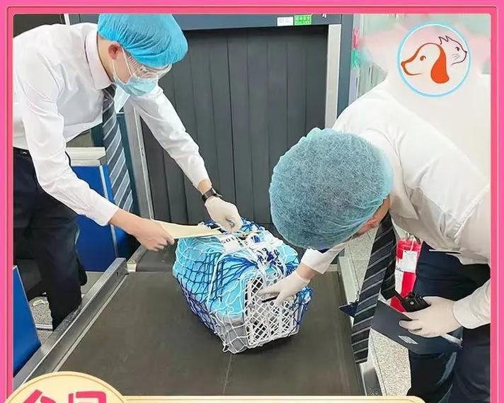 如何准备寄送宠物所需物品?(详细介绍宠物寄送过程中需要准备的必备物品)(图2) 如何准备寄送宠物所需物品?(详细介绍宠物寄送过程中需要准备的必备物品)(图2)