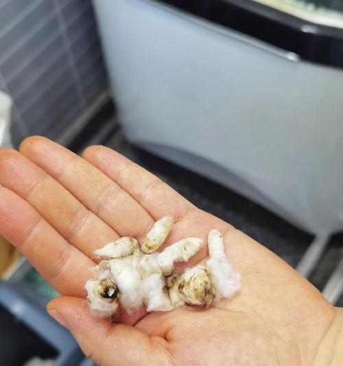 选择适合的洗浴用品，让你享受最佳洗澡体验（什么洗浴用品最适合你？为你的肌肤选择正确的护理品）(图3)