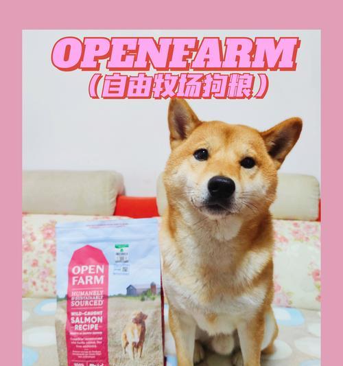 如何应对狗狗不爱吃狗粮的常见原因与解决方案 - 悠悠酷狗网