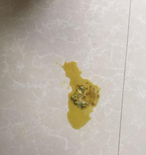 泰迪宠物大便健康指南：识别异常与改善措施 - 悠悠酷狗网