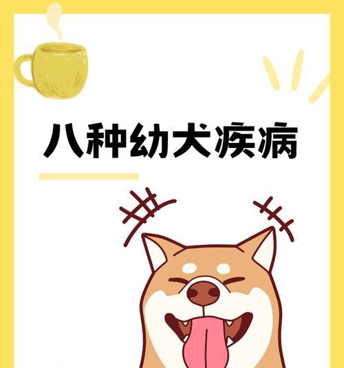 小狗发烧常见原因与有效治疗方法指南(图1)