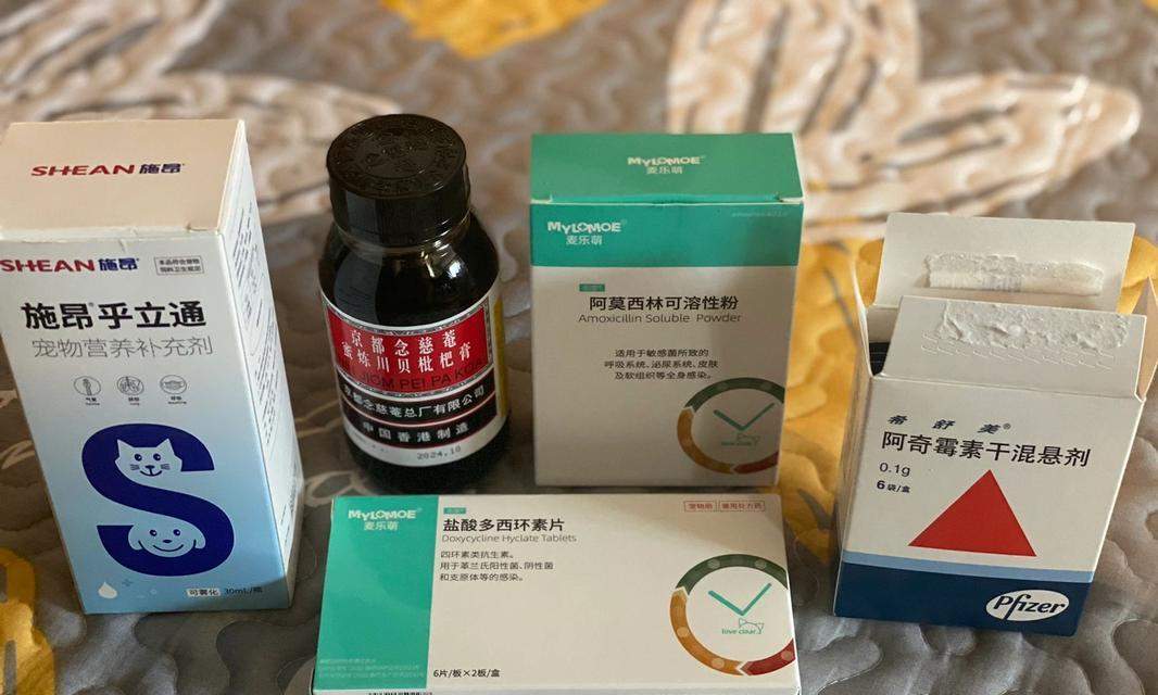 如何帮助泰迪缓解呕吐和咳嗽问题？（为您的泰迪提供正确的饮食和护理）(图2)