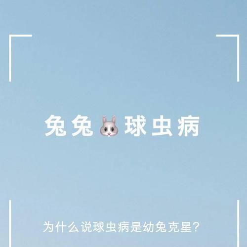 兔子球虫病的传染途径与预防措施（探究兔子球虫病的传播途径及防治） - 悠悠酷狗网