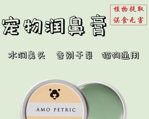 狗狗鼻子干裂的原因与护理方法全指南(图2)