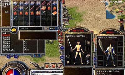 狗狗眼睛发红原因与护理措施全面解析 - 悠悠酷狗网