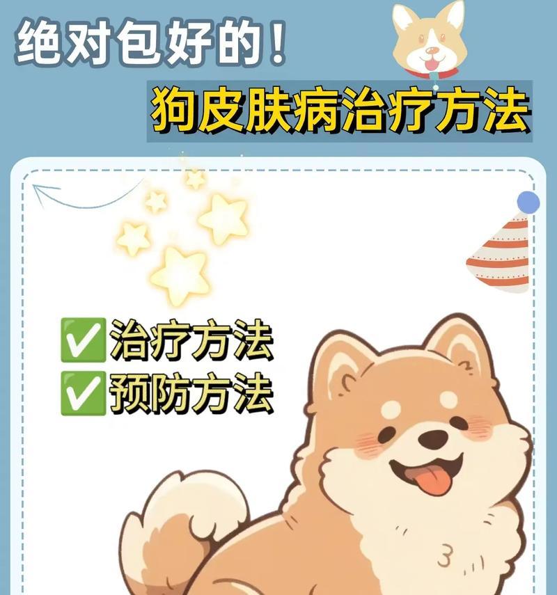 治疗狗皮肤病的药物及其应用（选择适合狗病情的药物是治疗皮肤病的关键）(图1)