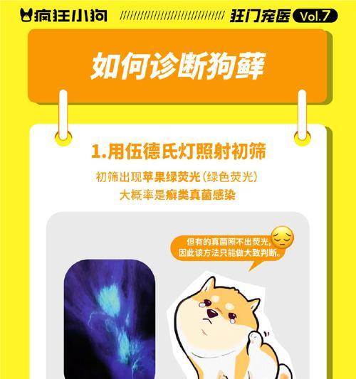 治疗狗皮肤病的药物及其应用（选择适合狗病情的药物是治疗皮肤病的关键）(图2)