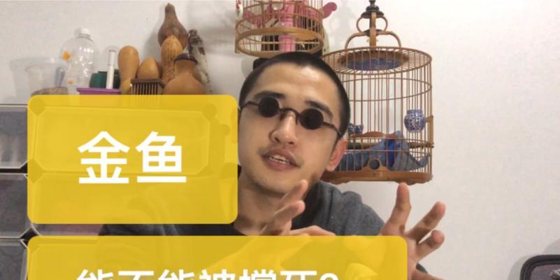 金鱼不喂食的原因及相关问题解析（为什么金鱼不吃食物？如何正确喂养金鱼？）(图2)