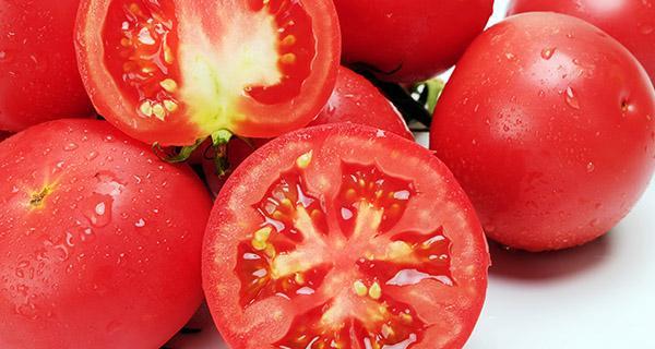 如何提高公猫的精子质量(有效饮食和生活方式,)(图2) 如何提高公猫的精子质量(有效饮食和生活方式,)(图2)