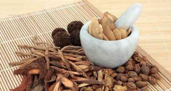 如何提高公猫的精子质量(有效饮食和生活方式,)(图3) 如何提高公猫的精子质量(有效饮食和生活方式,)(图3)