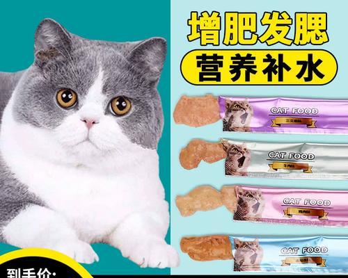 猫咪产后喂食注意事项（健康饮食促进母猫和幼猫成长）(图2)