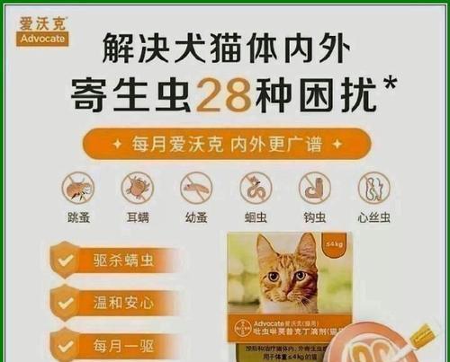 选择适合猫猫的驱虫药，关爱宠物健康（了解猫猫驱虫药的品牌及效果，为宠物提供全面保护）(图3)