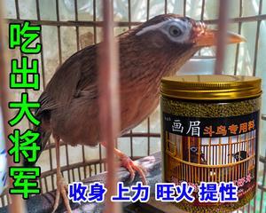 食物与性快感关系揭秘：提升画眉性快感的最佳食材(图2)