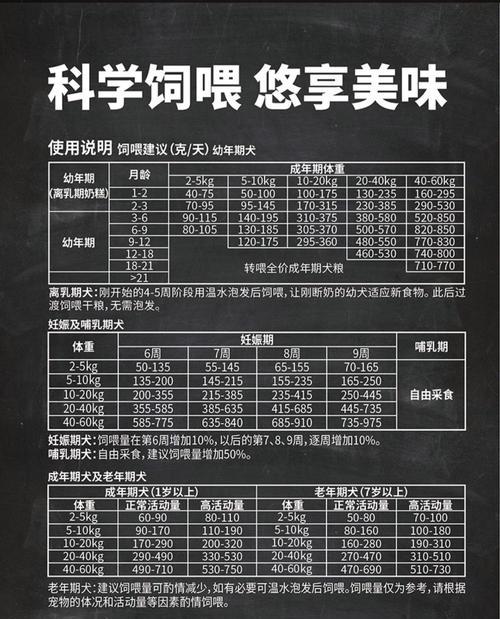 如何为灰色泰迪选择最适合的狗粮,保障健康与活力(图1) 如何为灰色泰迪选择最适合的狗粮,保障健康与活力(图1)