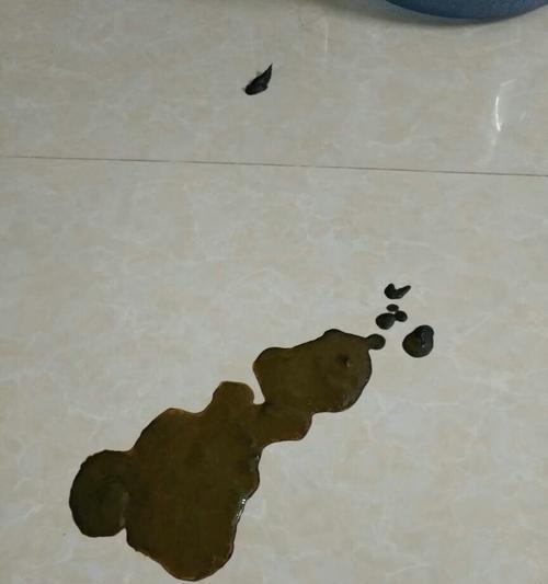 小而香（微观世界中的奇妙细节——细小便便的形态与特性）(图2)