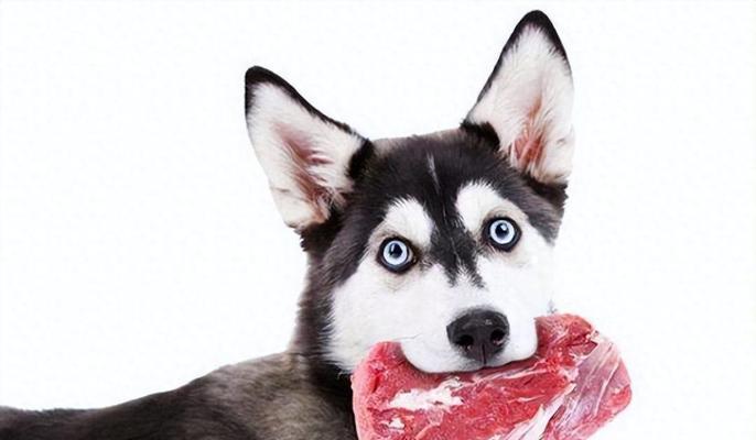 40多天的小狗狗应该吃什么?(满足小狗狗营养需求的最佳饮食选择)(图3) 40多天的小狗狗应该吃什么?(满足小狗狗营养需求的最佳饮食选择)(图3)