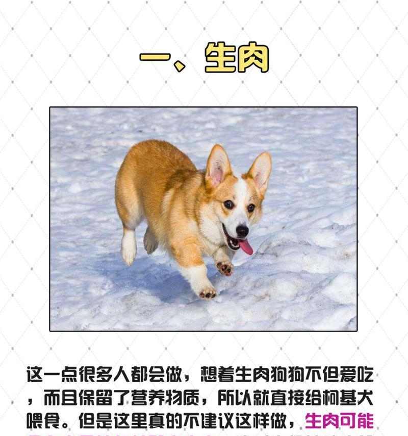 新生狗狗的饮食指南(为您的小狗提供健康的饮食)(图3) 新生狗狗的饮食指南(为您的小狗提供健康的饮食)(图3)